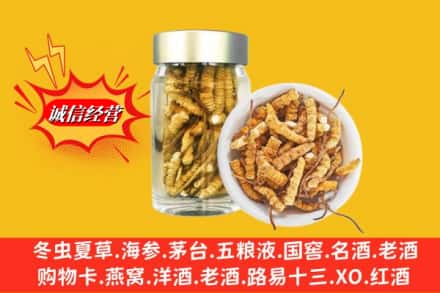 毕节市七星关名酒回收散虫草.jpg